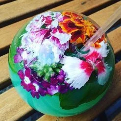 BarProducts.com Spherical Halm Cocktail Glass - 300ml