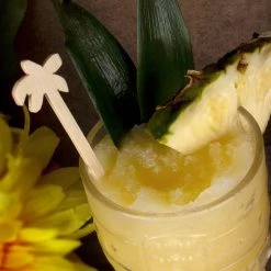 BarProducts.com SPECIAL COLLECTIONS BarConic® Bamboo Palm Tree Swizzle Sticks - 100 Pack