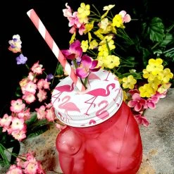 BarProducts.com BarConic® Glassware - Pink Flamingo Glass - 18 Ounce BAR SUPPLIES