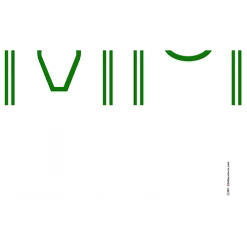 BarProducts.com Custom Coasters / Coolers Kolorcoat™ T-Shirt Bottle Cooler - White And Green